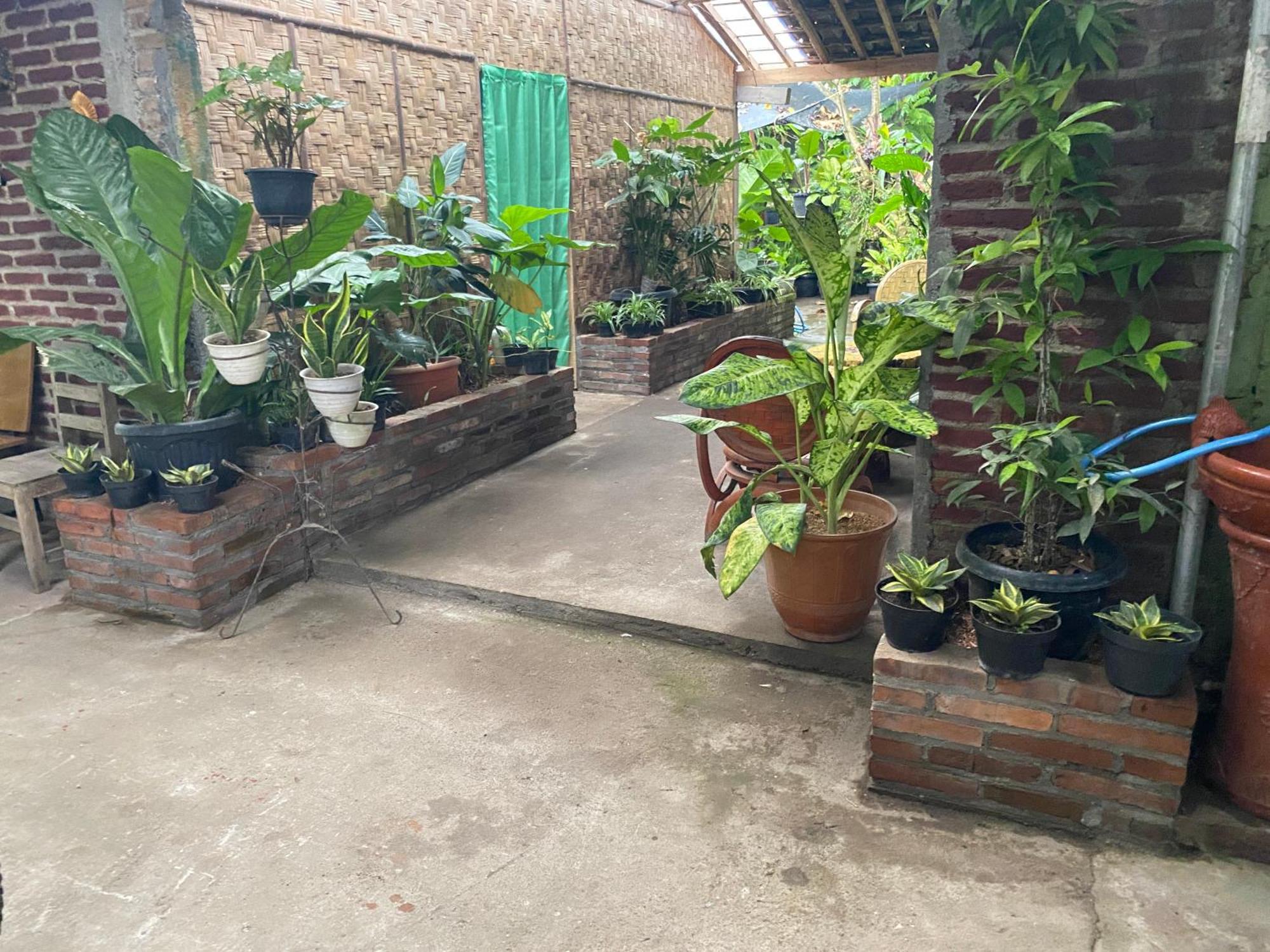 Ada Homestay Magelang Ngoại thất bức ảnh