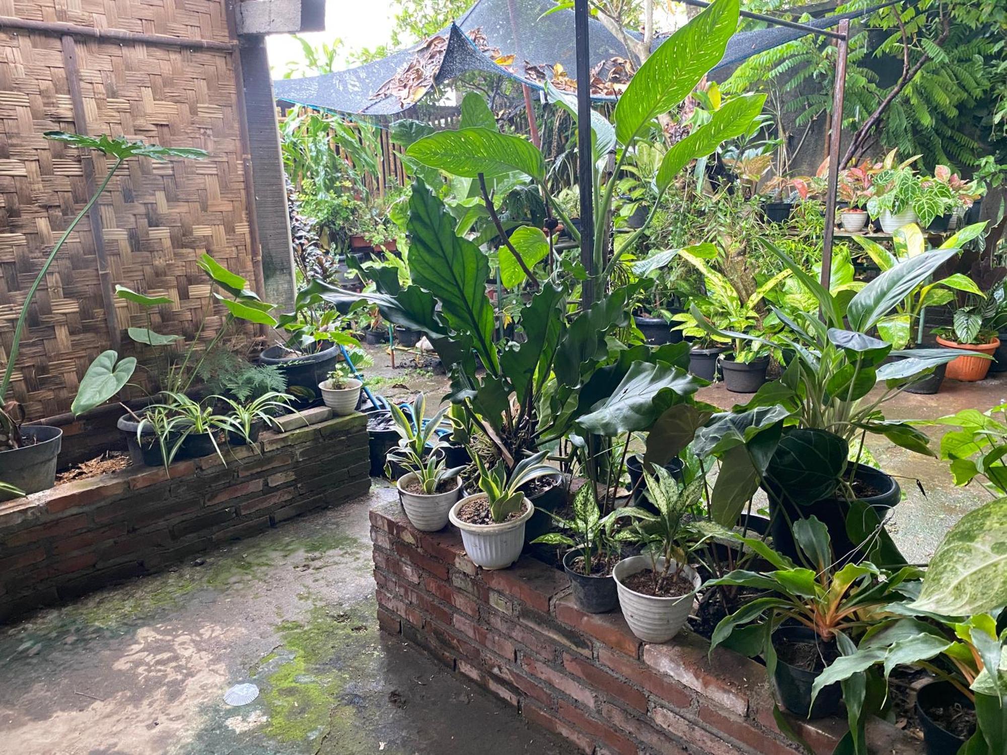Ada Homestay Magelang Ngoại thất bức ảnh